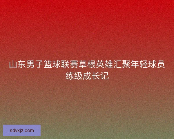 山东男子篮球联赛草根英雄汇聚年轻球员练级成长记